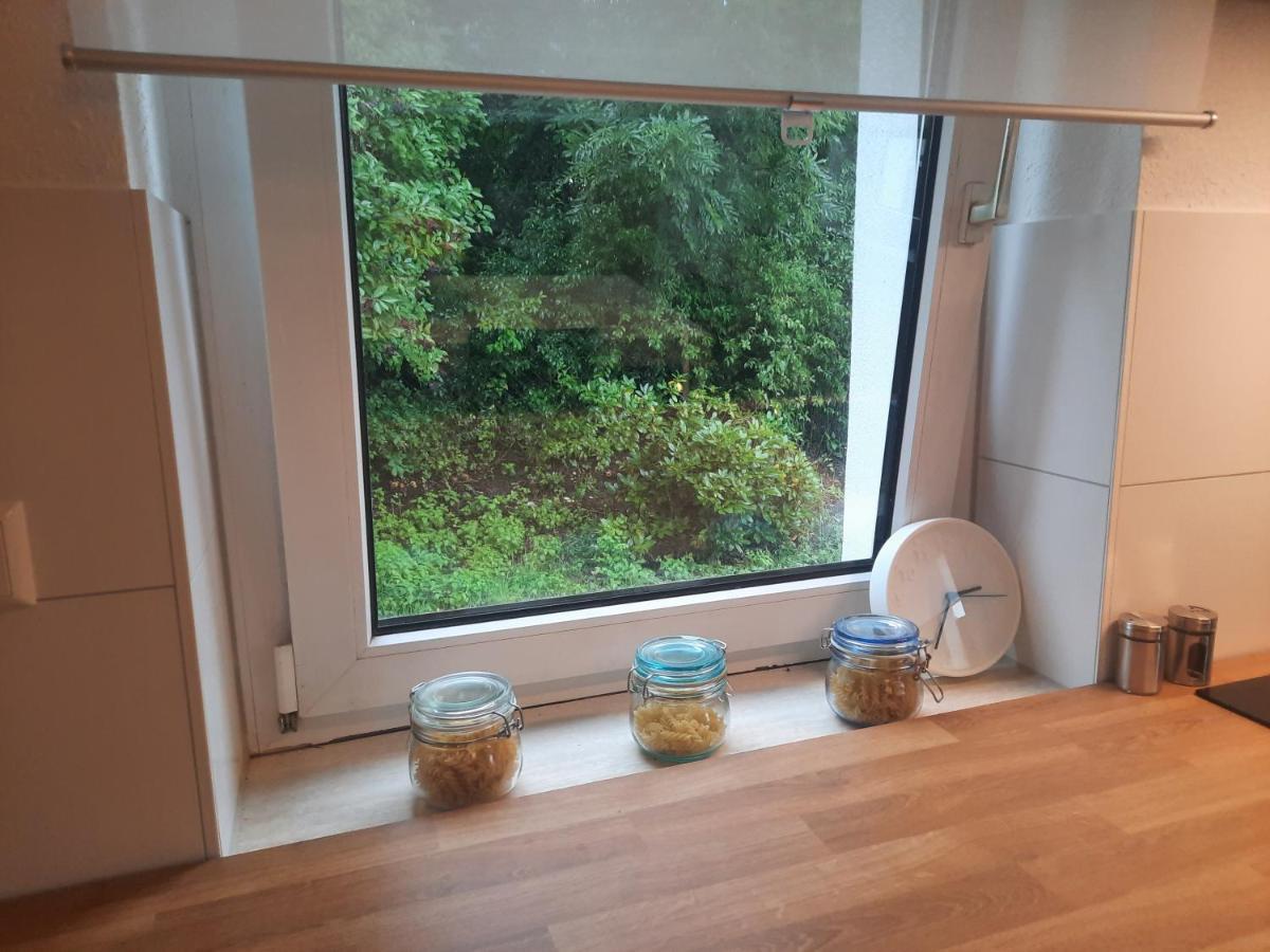 Precioso Apartamento, Aparcamiento Gratis Augustusburg Eksteriør bilde